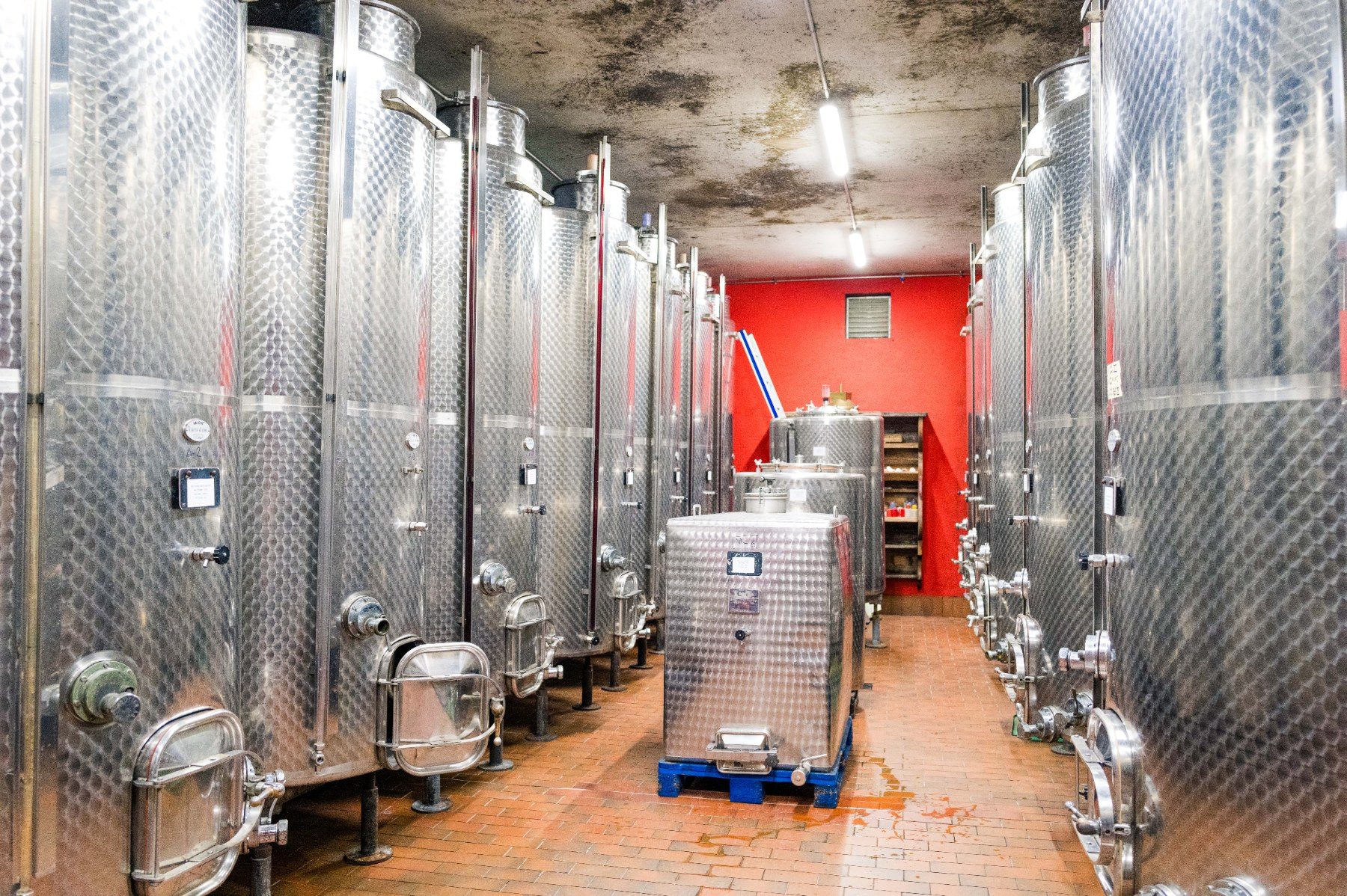 La cave du domaine, entre les cuves