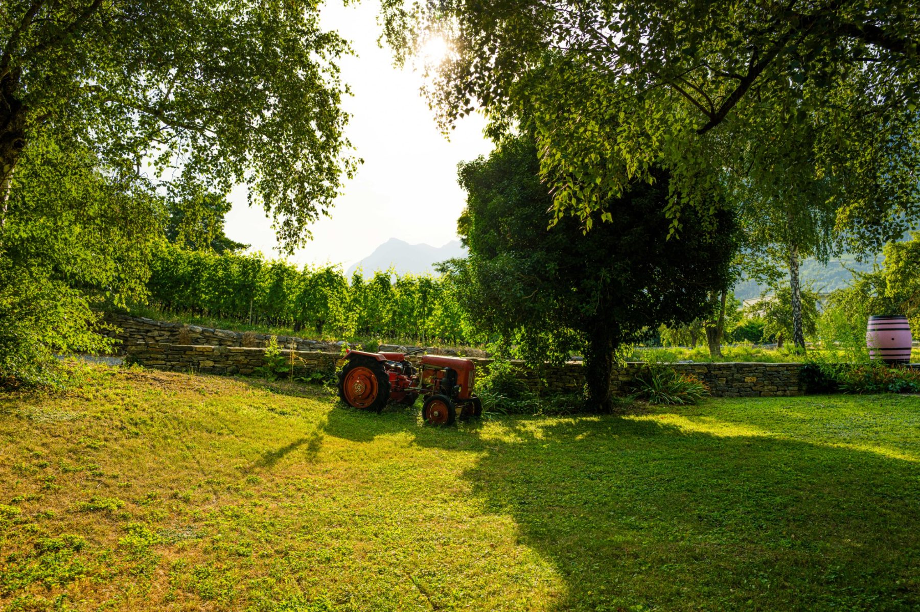 Le jardin du domaine et son tracteur, en fin de journée